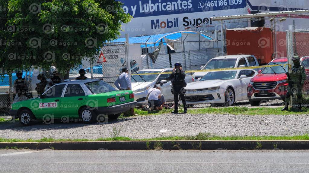 pinos coches hombre