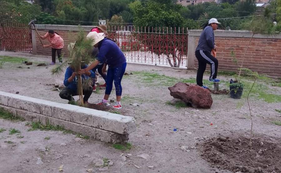 reforestacion AG