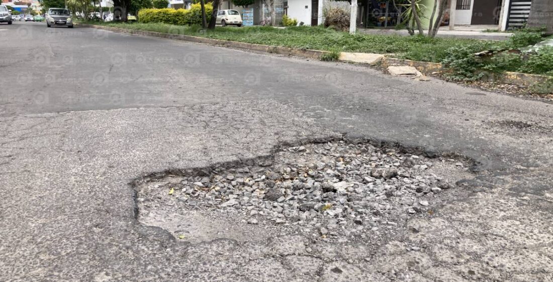 bache mexico japon