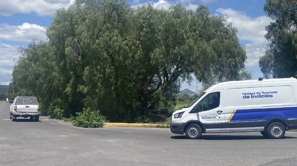Ejecutado en Empalme Escobedo