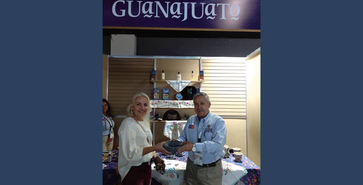 Tianguis de pueblos magicos comonfort