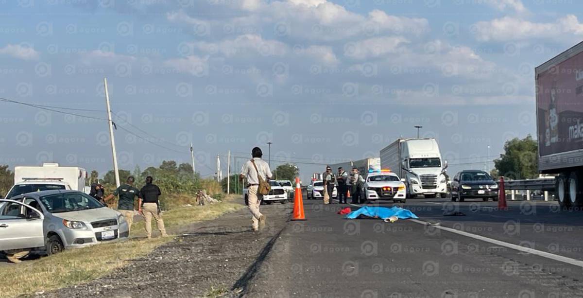 Hombre atropellado Celaya Salamanca