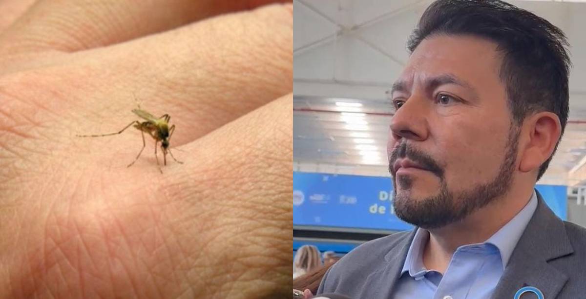 Dengue gto