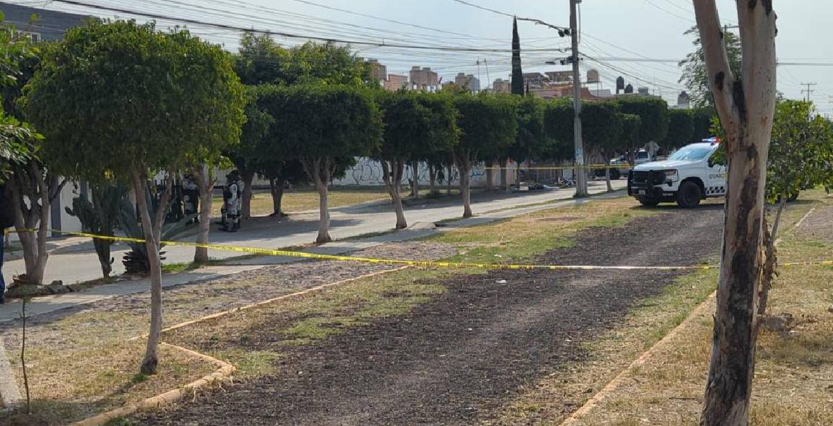 Ejecutado en Hacienda del Bosque