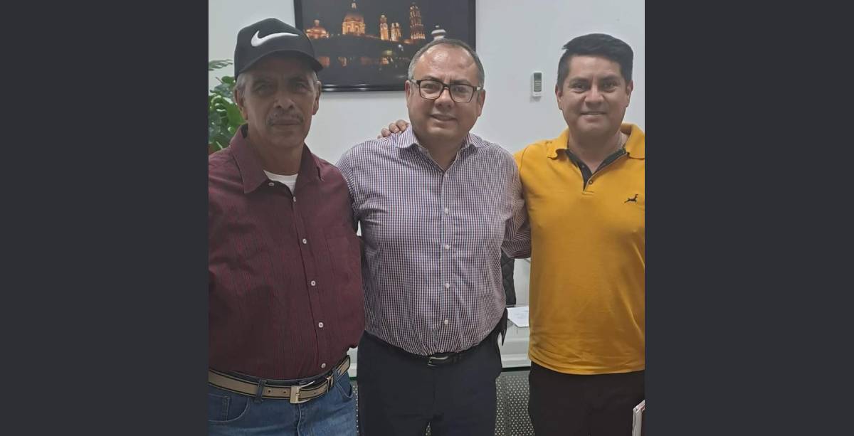 Votaciones delegacion teneria