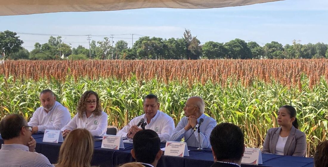 evento delegado IMSS Celaya