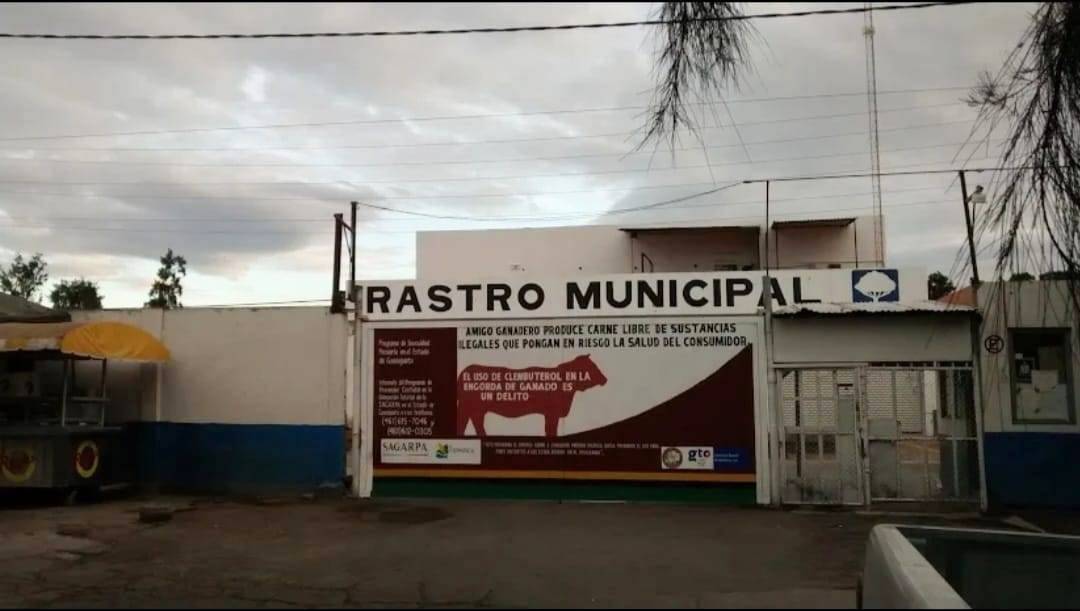 ratro celaya