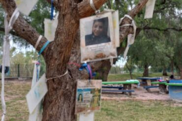 arbol desaparecidos