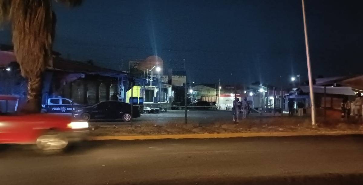 Granada en mercado de abastos