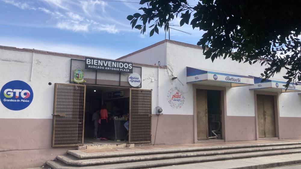 mercado apaseo not