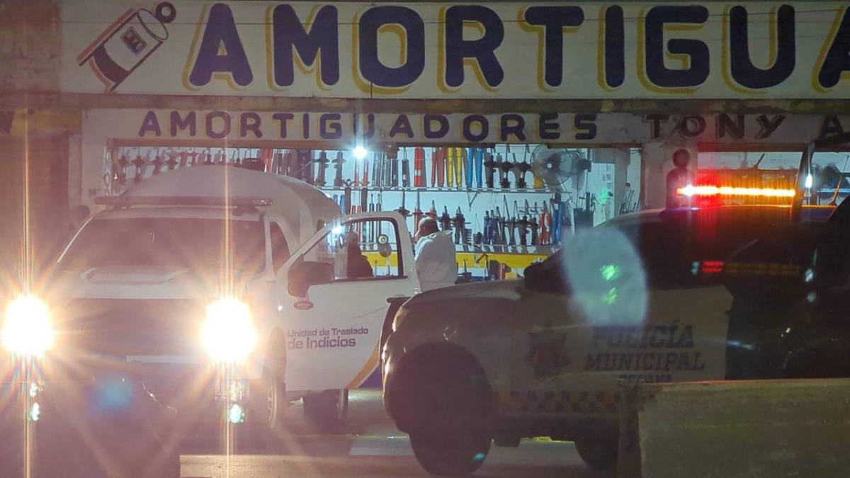 amortiguadores