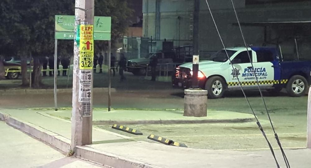 apaseo el alto defepales