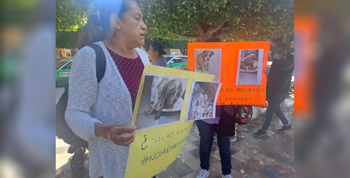 manifestacion pro animales silao