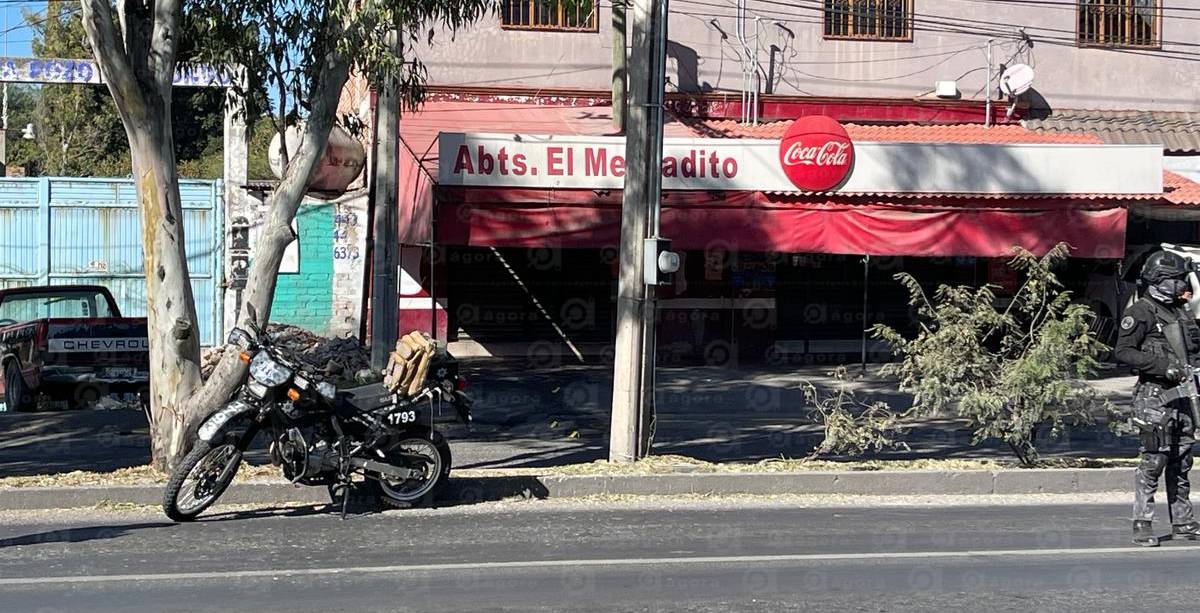 policias granada