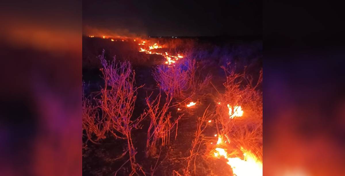 incendios cortazar