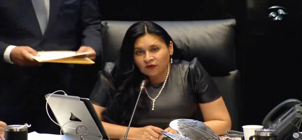 senadora 1