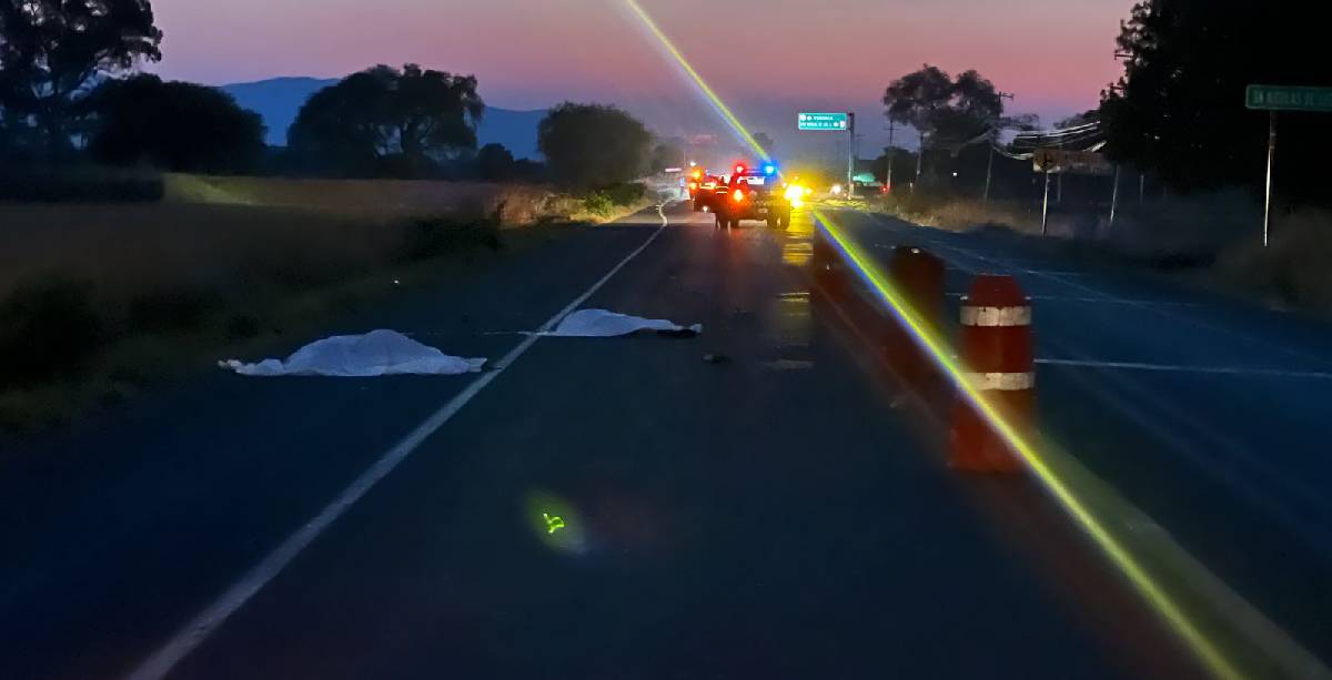 atropellados en carretera