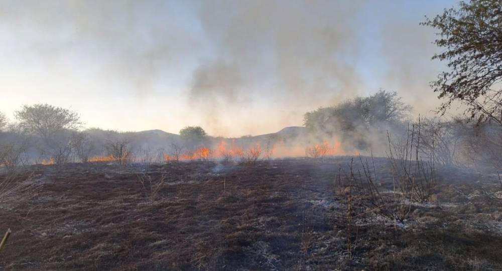 incendio pastizar