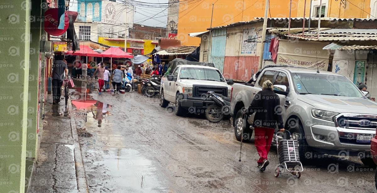 Salvatyieera lluvias