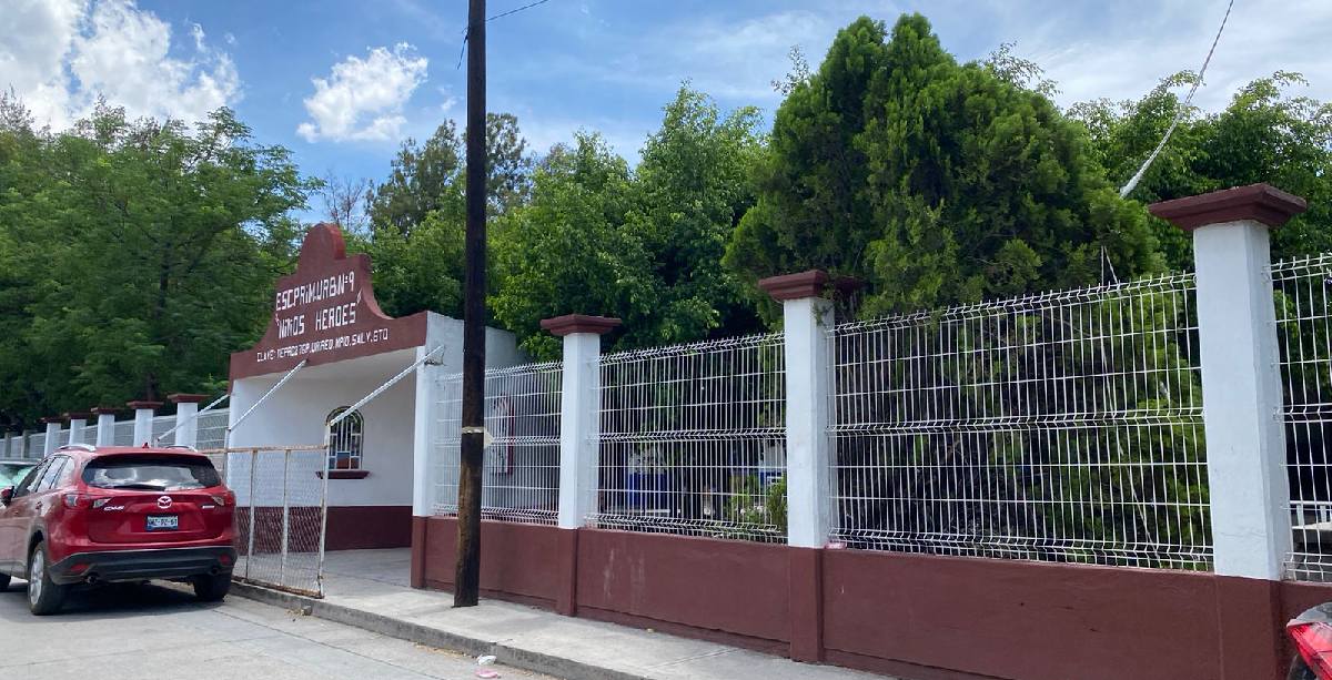 Por plaga de pulgas, primaria de Urirero pide intervención del Gobierno piojos escuela