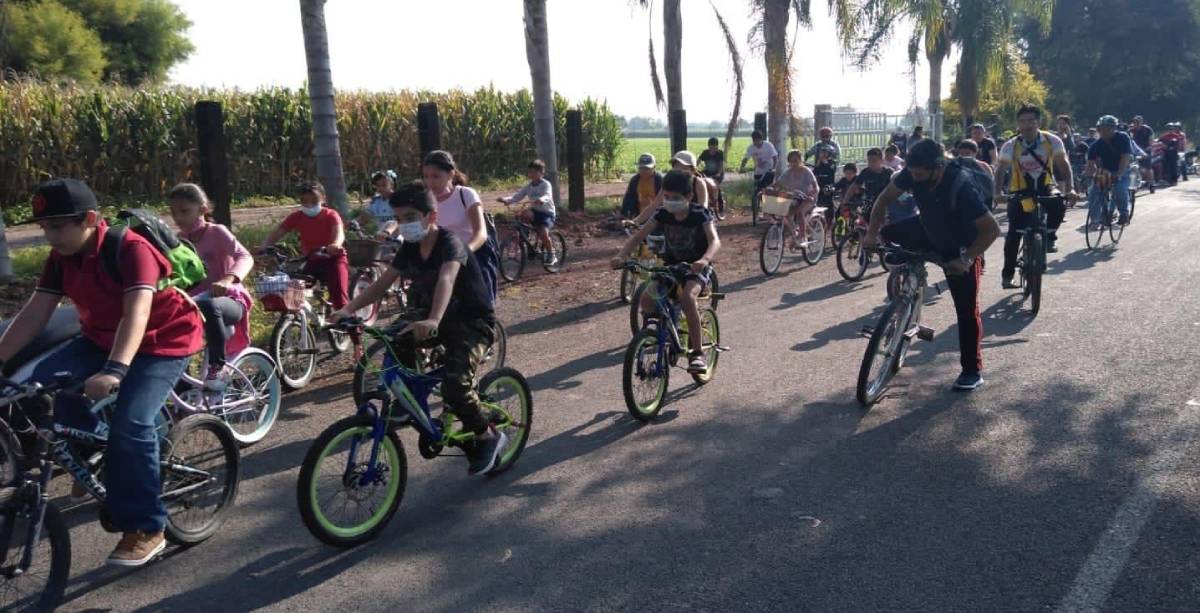 bicis cortazar