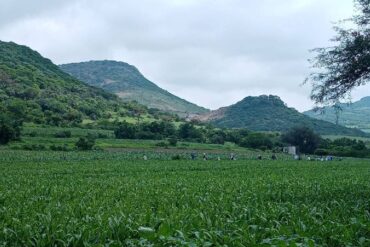Zona del Naranjillo