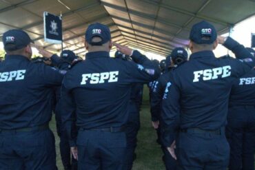 fspes 3