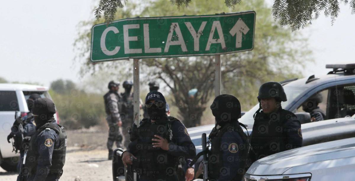 celaya balas