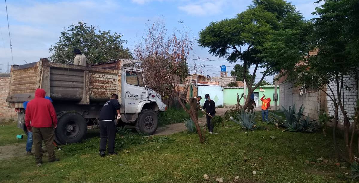 celaya basura