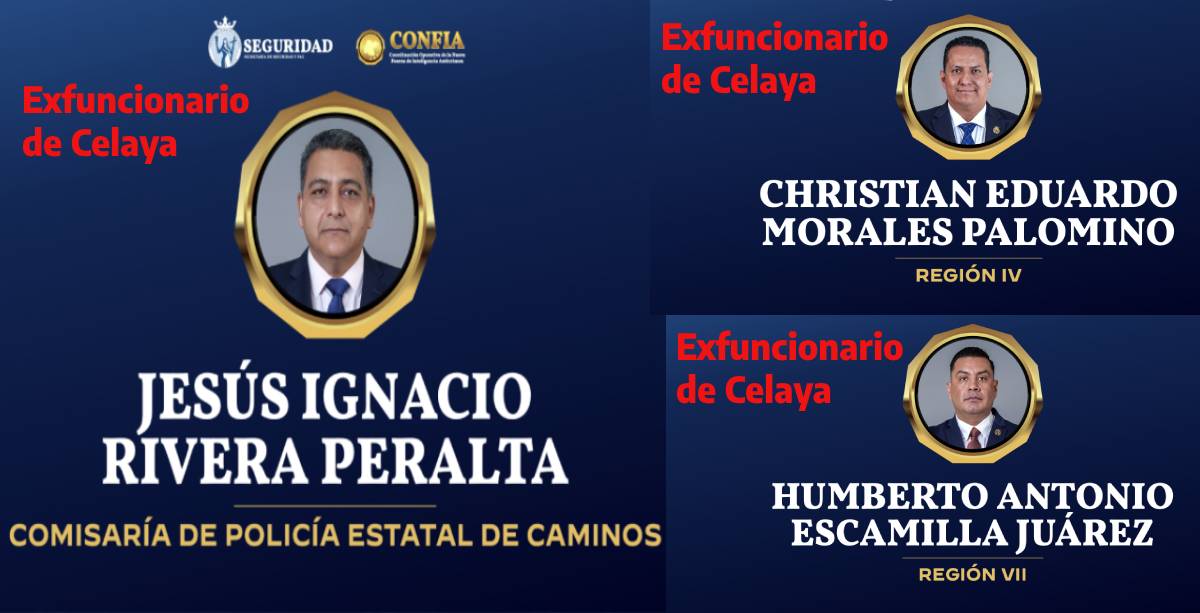 reciclados 2