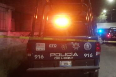 patrulla leon noche
