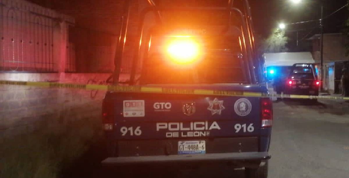 patrulla leon noche