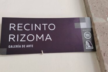 rizoma
