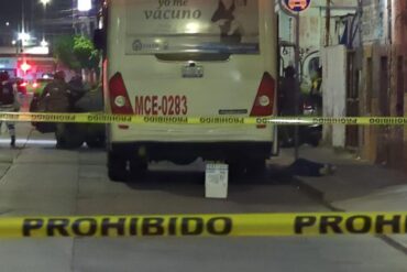 atropellado 1