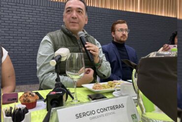 sergio contreras verde