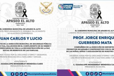 APASEO EL ALTO 1