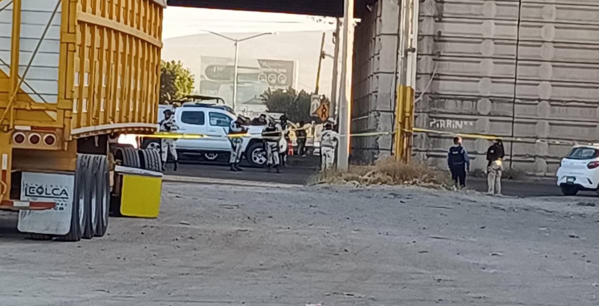 Vehiculo