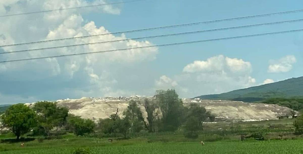 Basurero Salva