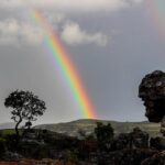arcoiris