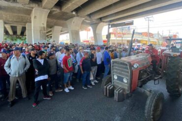 Campesinos de 14 municipios reclaman abandono del gobierno federal en manifestación frente a SADER Campesinos