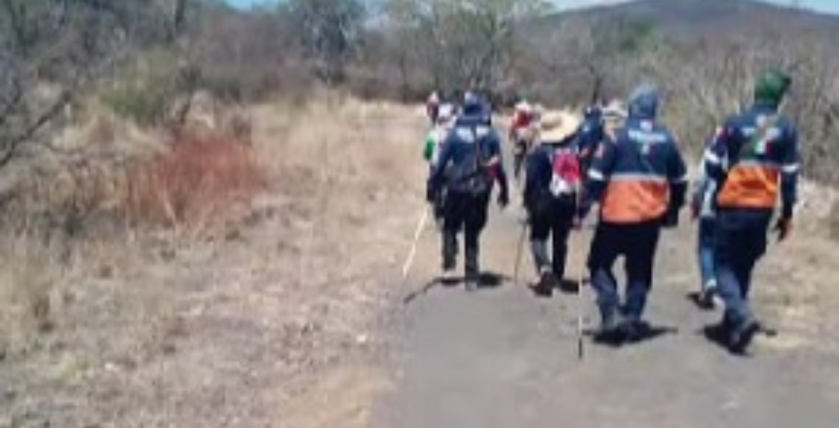 Colectivos Leon