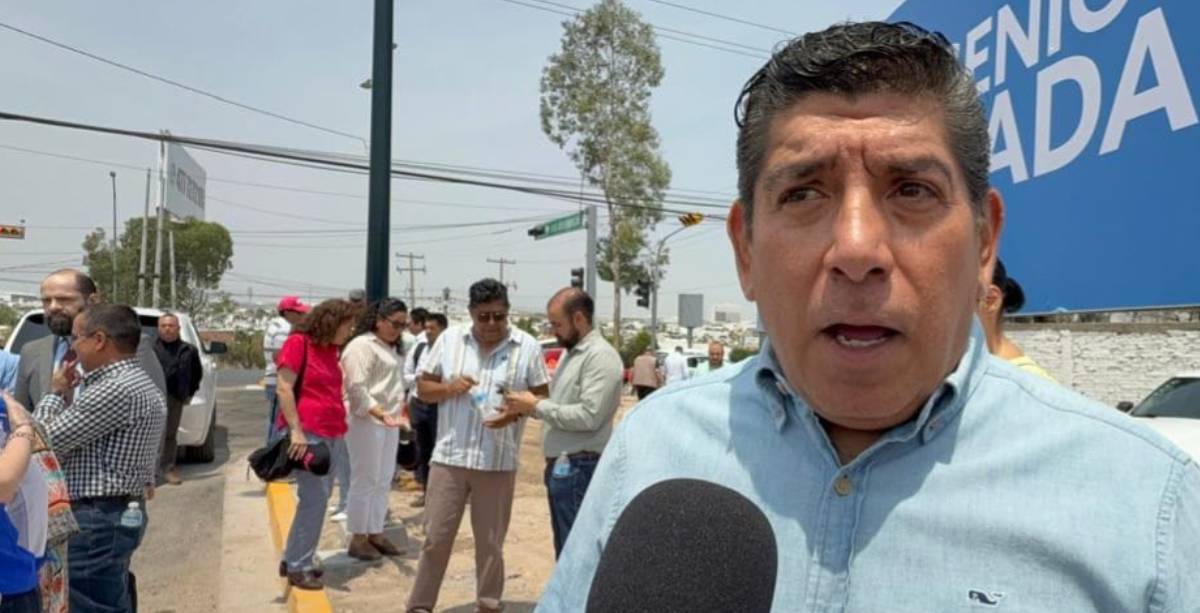 Diputado federal