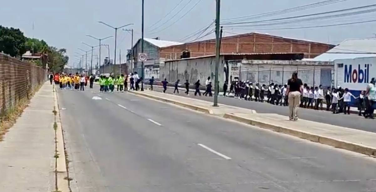 Operativo