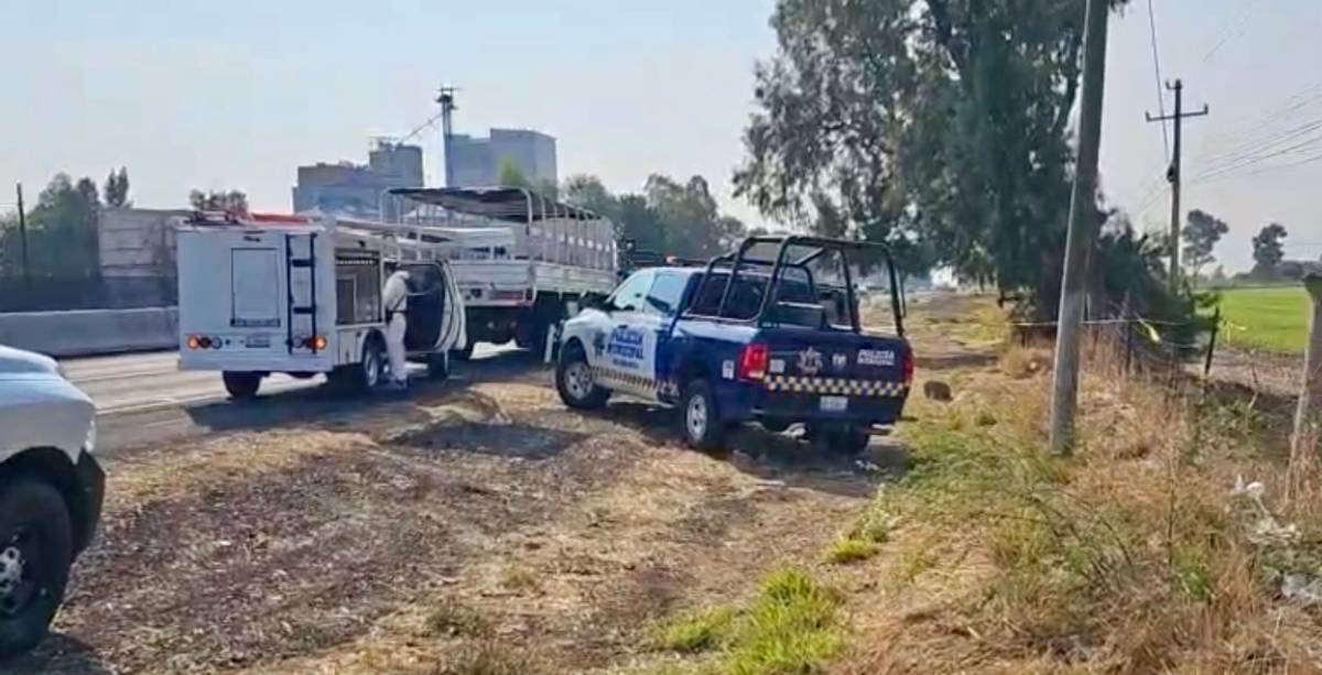 Policiaca Salmanaca
