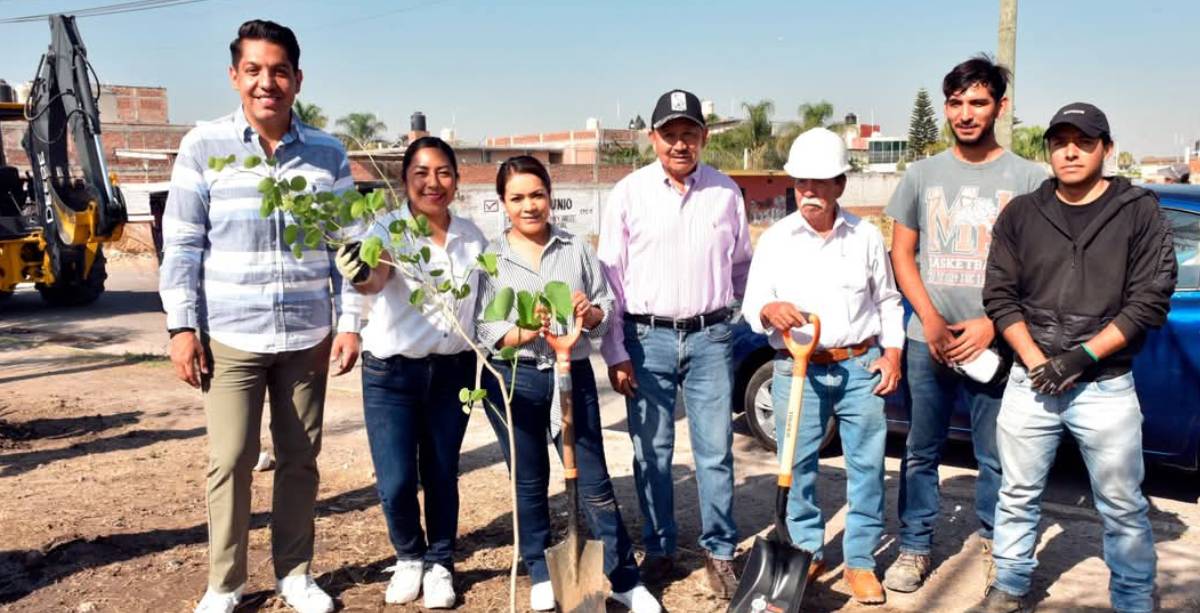 Reforestacion