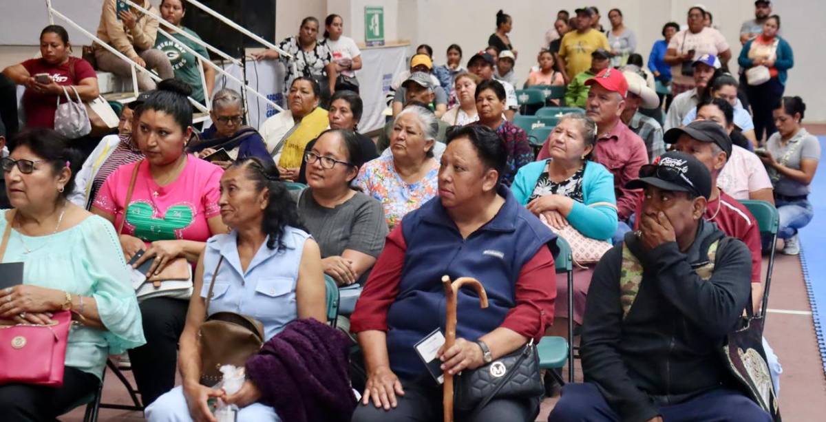 abuelitos sin fronteras