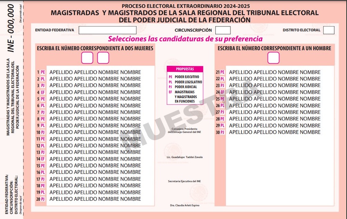 boletas ine poder judicial pjf