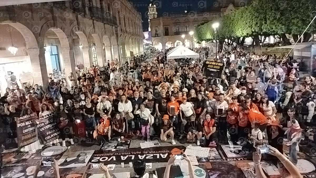 maltrato marcha