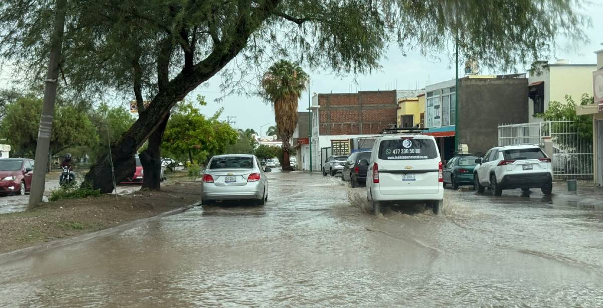 Lluvias Leon