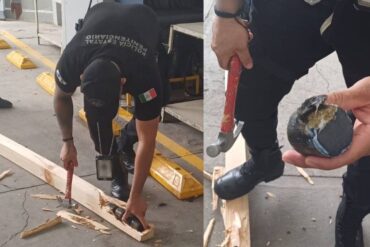 Marihuana Penal 1